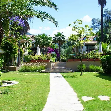 Aquamarine Garden